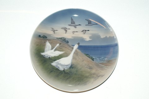 item no: 151153