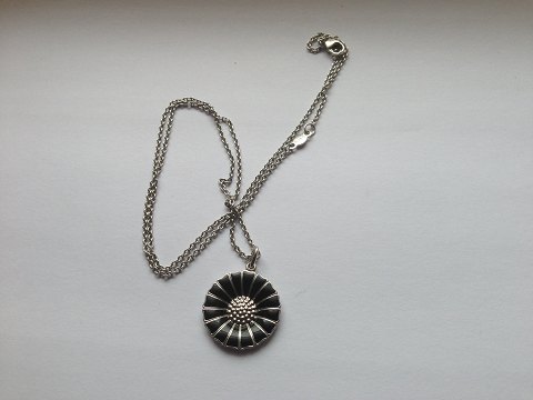 Bestellnummer: 183496