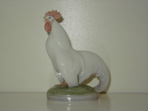 Bestellnummer: 19561