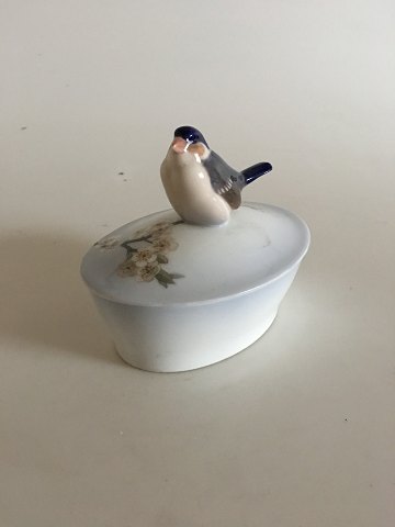 item no: 208081