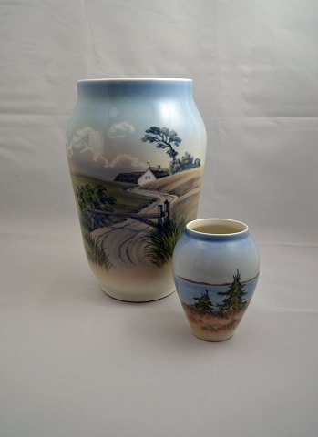 item no: 210982