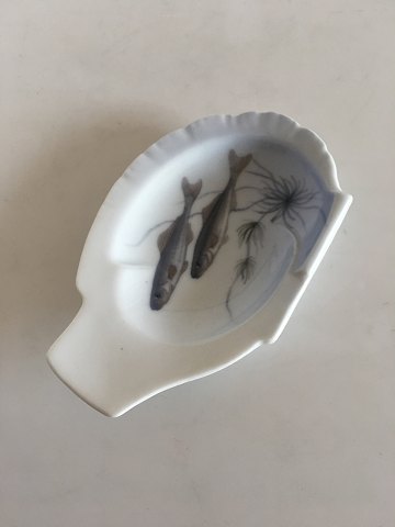 item no: 211892