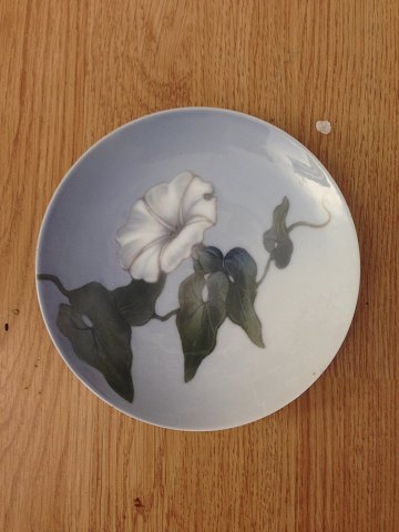 Bestellnummer: 215862