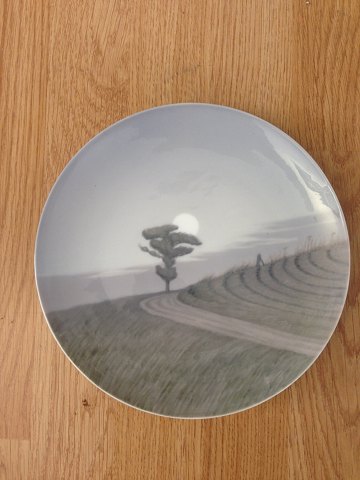 Bestellnummer: 215866
