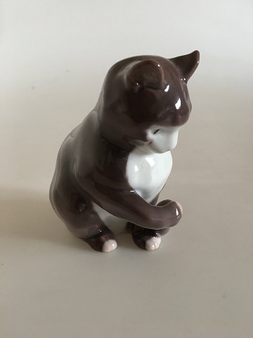 item no: 224016