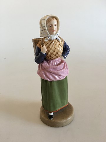 item no: 224018