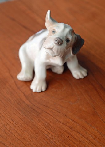 item no: 245314
