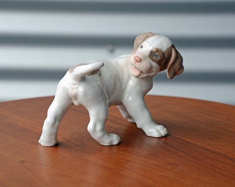 item no: 245315