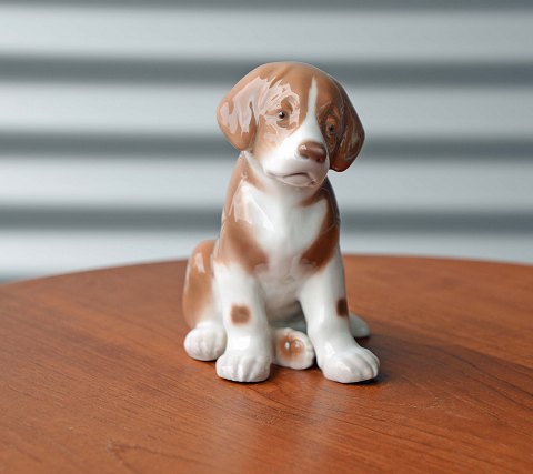 item no: 245321