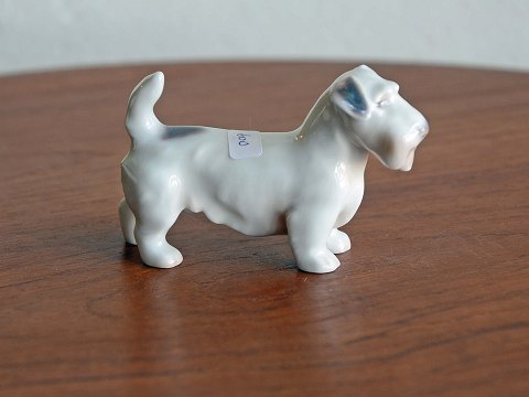 item no: 245816