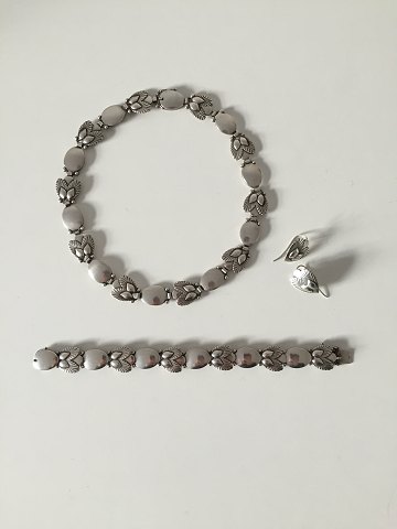 item no: 245972