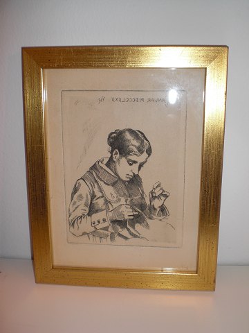 item no: 256419