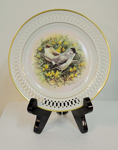 item no: 262237
