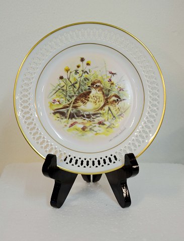 item no: 262242