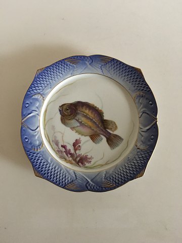 item no: 285153