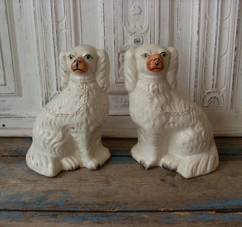 Par Staffordshire hunde