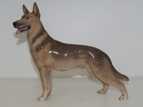 Bestellnummer: 302470