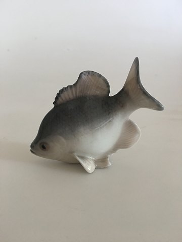 item no: 304029
