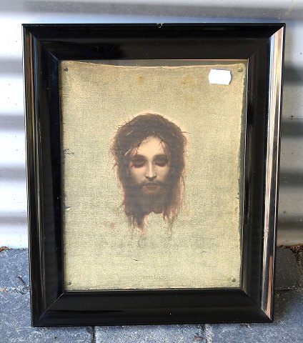 item no: 306477