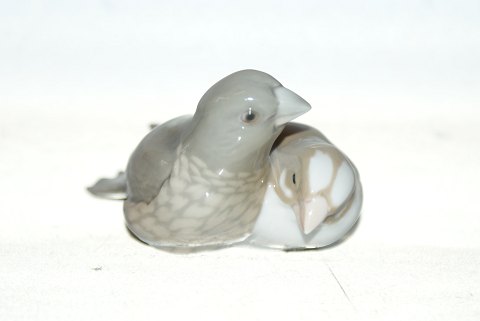 Bestellnummer: 308167