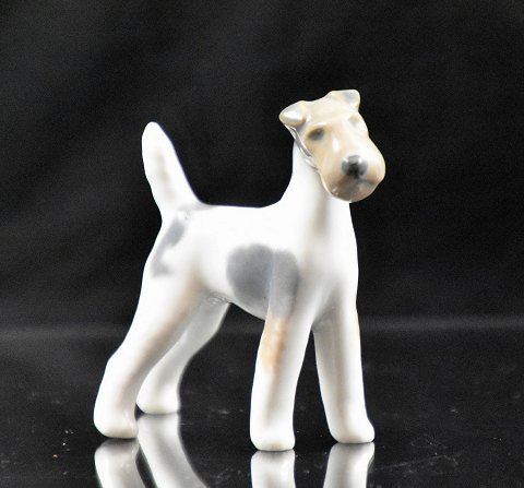 item no: 324238