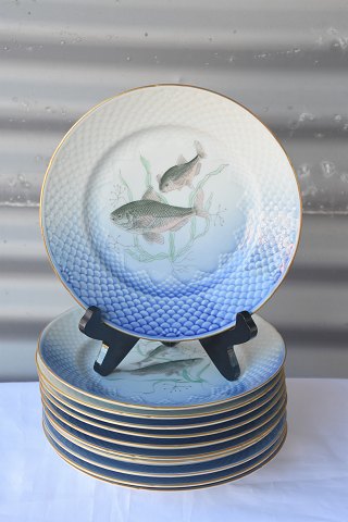 item no: 335235