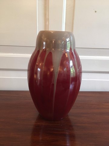 item no: 50008