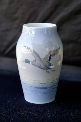 item no: 370454