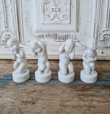 item no: 402245