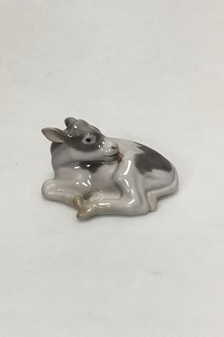 item no: 427353