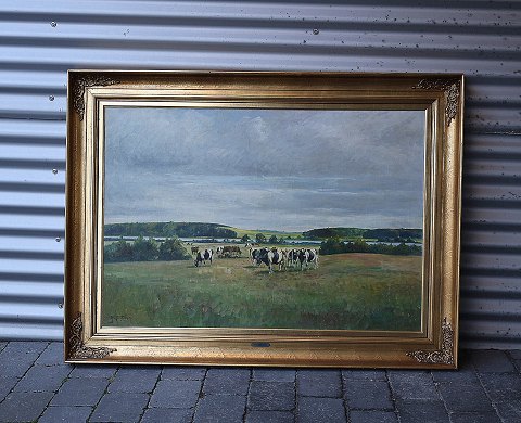 item no: 435320