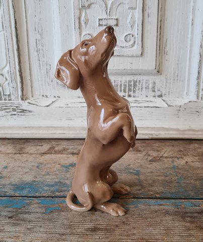 B&G figure, begging dachshund No. 1603