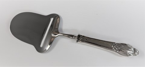item no: 504895