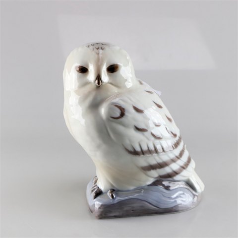 Bestellnummer: 525945