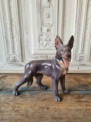 Dahl Jensen figure - Standing German shepherd no. 1087