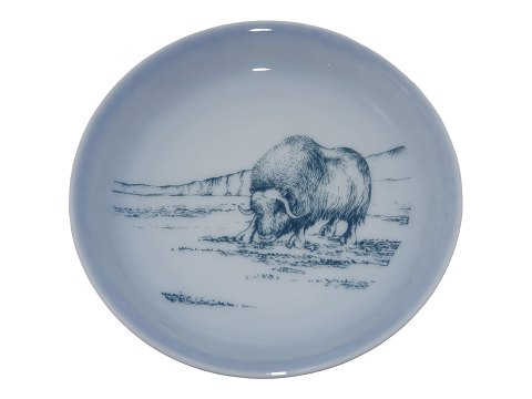 Mini Bing & Grondahl Greenland plate
Musk ox