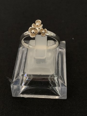 item no: 585583