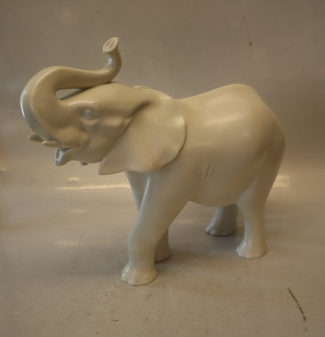 item no: 586420