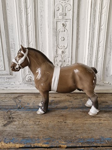 item no: 590130