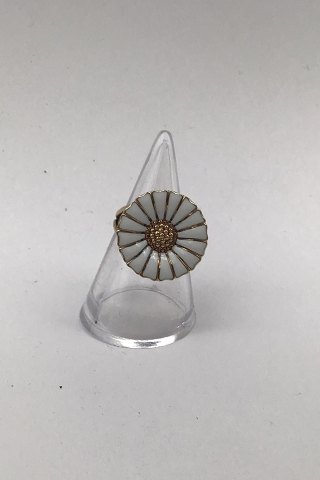 item no: 593773