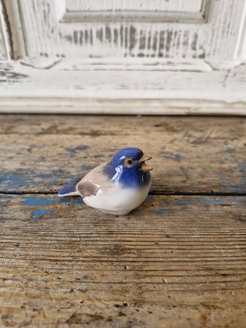 item no: 595135