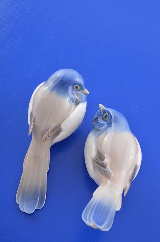 item no: 597945