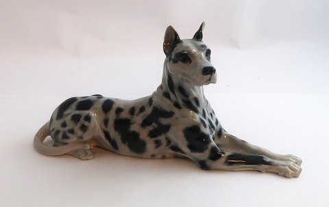 item no: 602144