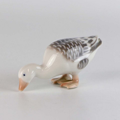 item no: 602599