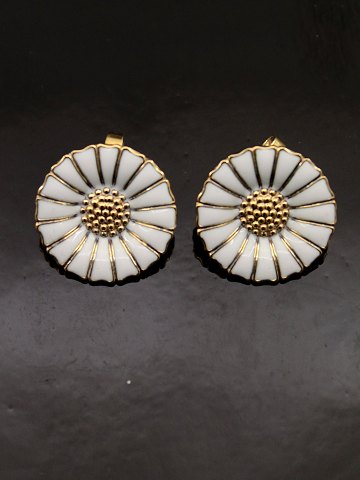 item no: 604044