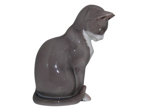item no: 604697
