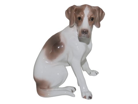 item no: 604859