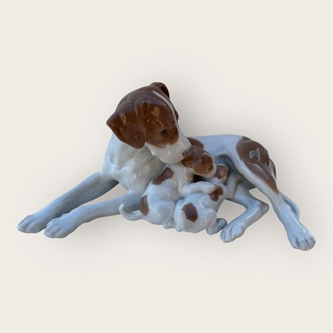 item no: 605886