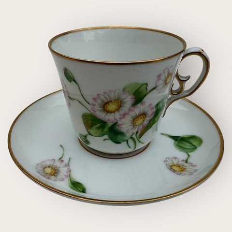 Bestellnummer: 618800