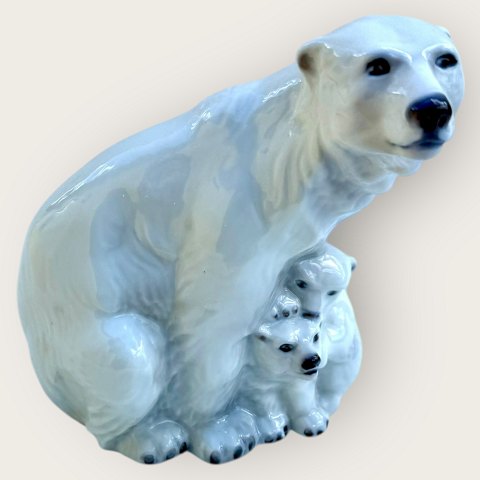 Bestellnummer: 621521